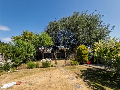 Picture 20